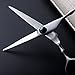 Saebye Professional Dual Haircutting Scissors 6 inch Sharp Blades Barber Shears Thinning Hair Cut Scissors Set