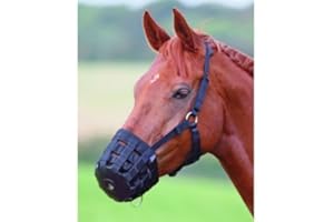 William Hunter Equestrian Hy - Bozal para caballos