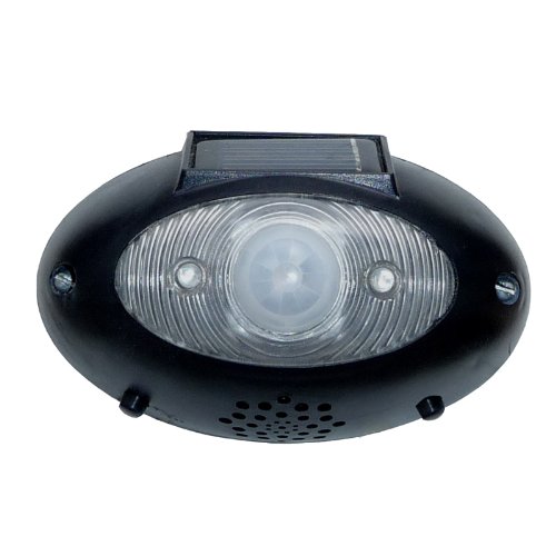 Preisvergleich Produktbild homebrite ew-1 eyewatch Outdoor Wireless Solar Security Bewegungsmelder