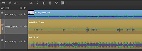 Pinnacle Studio 19 Plus - Software De Edici  n De Video  Multiling  e