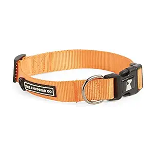 The Pawpstar Co Dog Collar by Aditya Birla New Age / Dog Walking Nylon Collar (Medium, Tangerine Orange)