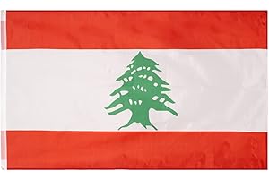 MUWO Flagge Nations Together 90 x 150 cm Nationalmanschaften, doppelseitige Gartenflagge, wetterfeste Fanflagge, Fußballflagge Polyester Länderfagge Deutschland mit Ösen (Libanon)