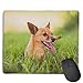 Produktbild Naughty Dog Locking Mouse Pad Anti-Slip Personality Gaming Rubber Mousepads