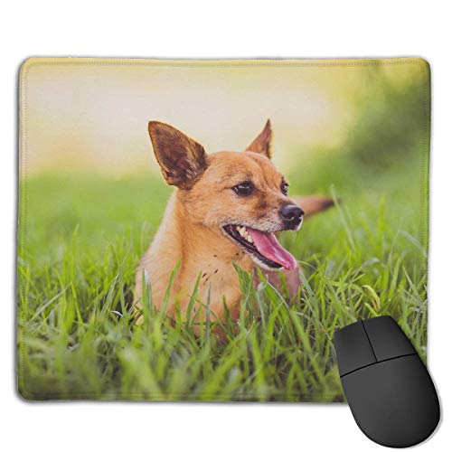 Preisvergleich Produktbild Naughty Dog Locking Mouse Pad Anti-Slip Personality Gaming Rubber Mousepads