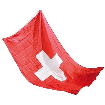 URI Schweizer Kantonsflagge – 90x90 Cm, Polyester, Mit Metallösen, Beidseitig Bedruckt