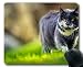 Produktbild Mauspad, Pet Sunny Unschärfe Katzengras-Mauspad, Mauspad für Computer cat188