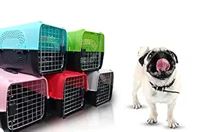 Petlicious & More Pet Travel Carrier Dog Cat Rabbit Basket Plastic Handle Hinged Door Folding Collapsible Transport Box Crate Cage Size 19.5 x 13 x 12.5 Inch for Puppy Cats (Grey)