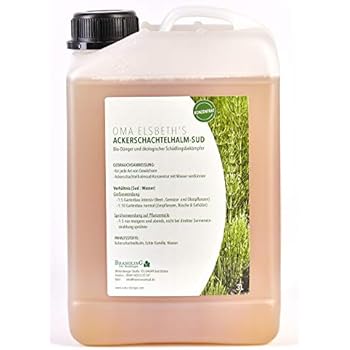 Ackerschachtelhalmjauche Rezept - Ackerschachtelhalm Erkennen » So Bestimmen Sie Das Zinnkraut