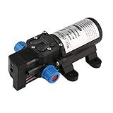 Elektrische Wasserpumpe für Gartenbewässerung, Autowäsche und so weiter.