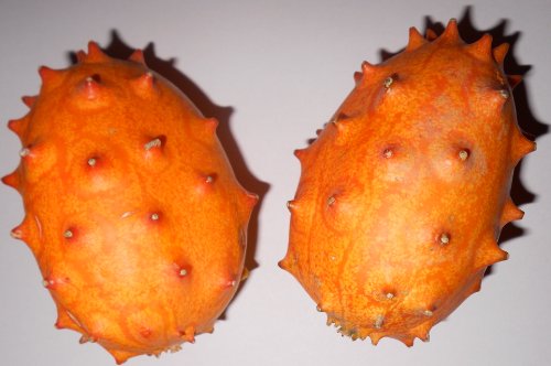 Kiwano , Die Afrikanische Horngurke oder Hornmelone 10 Samen