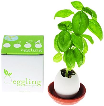 Noted EG01-03 Eggling - Crack & Grow - Basil
