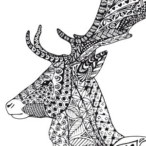 kwmobile Funda para LG Google Nexus 5X - Case para m  vil en TPU silicona - Cover trasero Dise  o Alce - ciervo en negro blanco