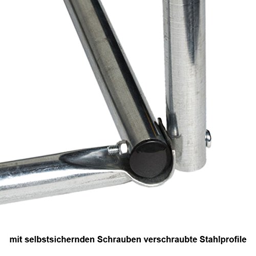 6m² Gewächshaus mit Stahlfundament Garten Treibhaus Tomatenhaus Pflanzenhaus Frühbeet Foliengewächshaus - 4