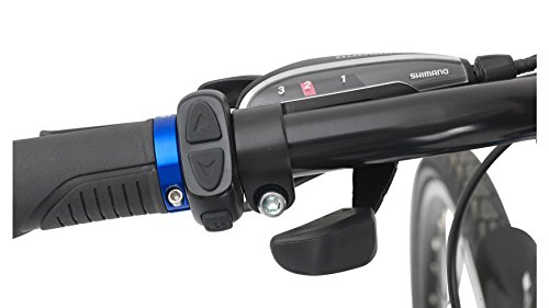 FISCHER FAHRRAEDER Sparset: 2 Trekking-E-Bikes im Doppelpack (1 x Herren, 1 x Damen, 28 Zoll) 71,12 cm (28 Zoll) - 9