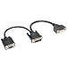 Produktbild Tripp Lite DVI Y Splitter Kabel, digital und VGA-Monitore (DVI-I M zu DVI-D F und HD15 F) 15,24 cm (P564–06 N-dv)