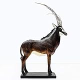 *Das voraussichtliche Lieferdatum ist 10 bis 16 Tage. Das Produkt wird manuell gemessen. Ein Fehler von 1 bis 2 cm ist normal.