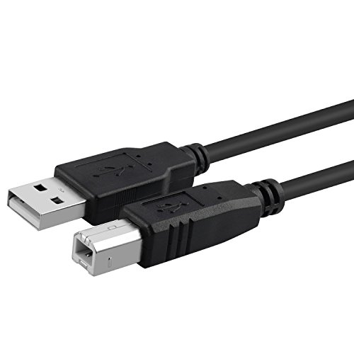 USB 2.0 Cable, A Male To B Male, Black, 10ft