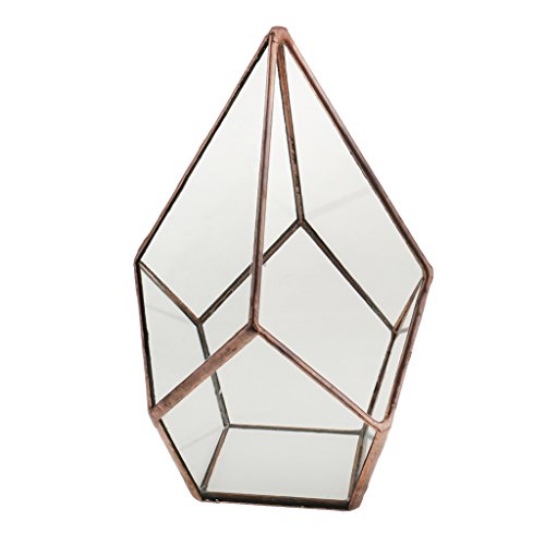 Luft Pflanzer Mini Glasterrarium Geometrisches Glas Sukkulente Pflanzgefäß Haus Dekoration 16x16x25cm – Kupfer - 4