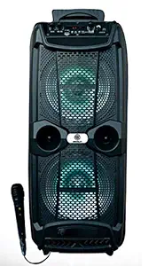 GEOSUN Geo G13 Rechargeable & Portable Double 8 Inch Multimedia Speaker System with Karaoke/TWS Technology/USB/TF/Digital FM/AUX/LED Display/Remote/Bluetooth/Mic/Woofer & DJ Floor RGB Light (Black)