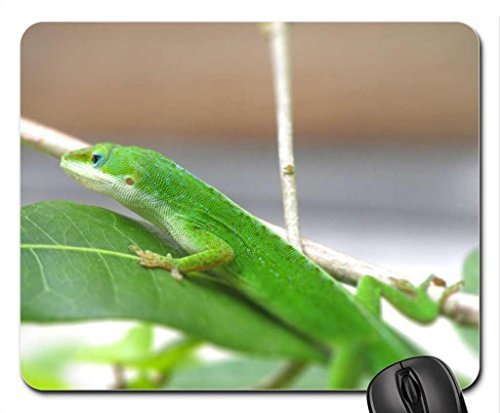 Preisvergleich Produktbild Lizard on Leaf Mouse Pad, Mousepad (Reptiles Mouse Pad)