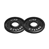 Bodypower Cast Iron Olympic (2 Inch) Discs - 1.25kg (x2)