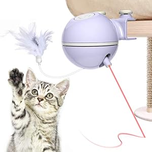 Accesorios y Complementos para Mascotas y Animales 15 DADYPET Juguetes para Gatos interactivos,Electrónico Juguete Gato, 2 en 1 Giratorio de 360 Grados con Bola y Plumas Juguetes Gatos,USB Recargable