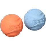 Chuckit Fetch Ball-Klein 2er Pack