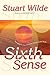Sixth Sense: Including The Secrets Of The Etheric Sublte Body: Including the Secrets of the Etheric Subtle Body by Stuart Wilde