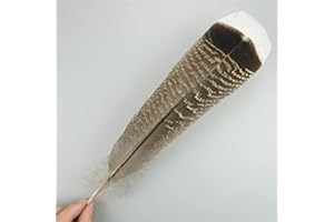 RAEF Plumes d'aigle Naturelles, 10 pièces/lot, pour Artisanat, Accessoires de Coiffure, décoration de Vacances, Plumes de Carnaval, décor Artisanal DIY