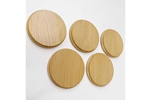 GTK - GEWEIHE & TROPHÄEN KRUMHOLZ GTK Offerta 5 targhe a cuneo, rotonde, chiare AF 13 cm, per i trofei