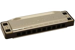 Lee Oskar 797036 Harmonica Natural Minor Mi b mineur