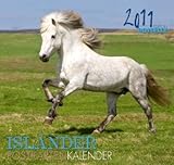 Isländer 2011: Postkartenkalender by 