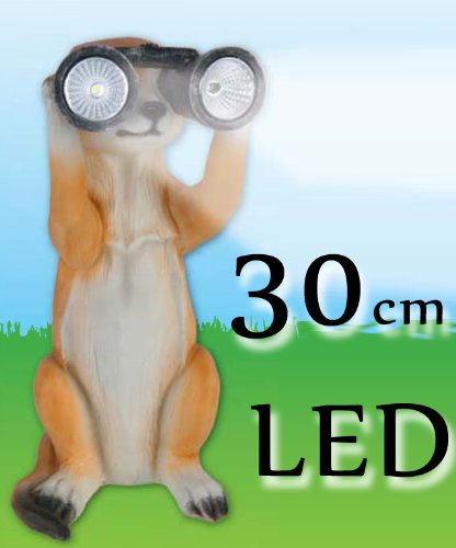Erdmännchen mit Solar Fernglas Laterne Figur Licht TOP Gartenfigur - 3