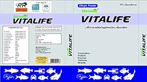 Lifesonic Vitalife | 250 ml | Happy Fins