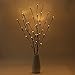 Produktbild BLOOMWIN LED Lichterzweige 2 Stück Warmweiß Dekozweige LED Zweig Lichter, 20 LED Zweiglichter Deko Lichterzweig Lichter Stehleuchte Lichtbaum Dekobeleuchtung IP44 75CM Hoch