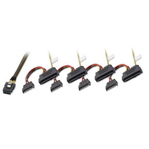 Lindy 1 m Mini-SAS zu 4 x SAS und SATA Power Kabel