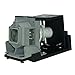 Price comparison product image Lutema Economy for Toshiba TDP-ST20 Projector Lamp with Housing