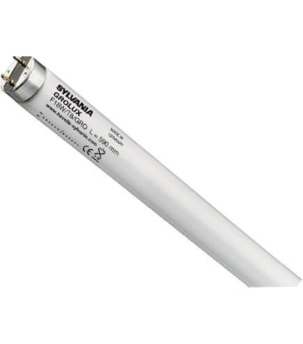 Sylvania Tube LED T8 16W 1200mm 2400lm 6500K - Sostituto Per Neon Con Alimentatore Elettronico, Luce Diurna, Non Dimmerabile, Vetro, IP20