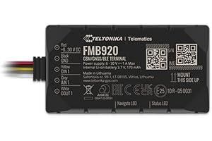 Teltonika FMB920