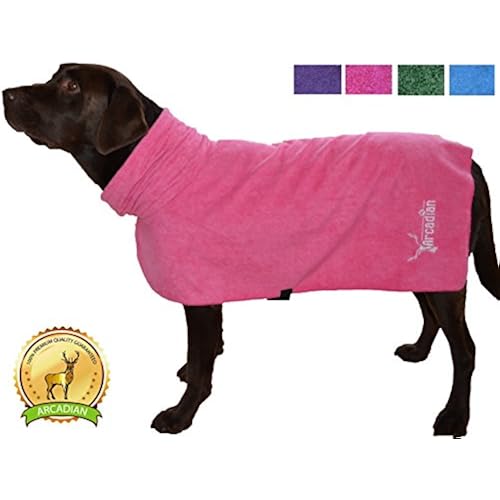 Gifts for Dogs Amazon.co.uk