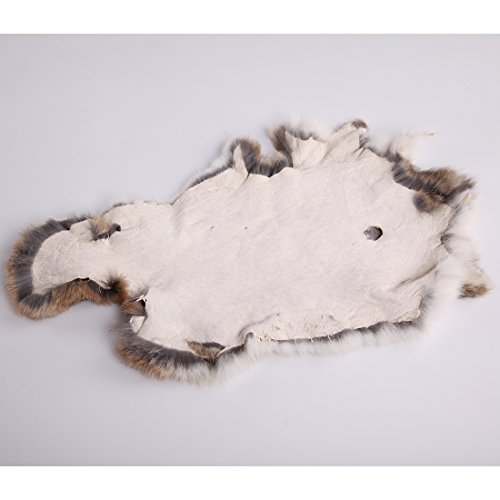 URSFUR Erstklassige Felle aus Kaninchen Echte Tierfell Kaninchenfell Kanin Hasenfell 18.5*11Inches -weiß - 3