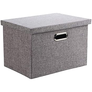 TYEERS 2er Pack Aufbewahrungsboxen mit Deckel und Griff, Faltbarer