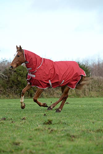 Preisvergleich Produktbild Bucas Freedom Turnout Full Neck 150G Regendecke Chocolate 130cm