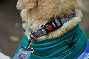 Mutt of Course Dog Collar and Leash Combo (Small, Pawesome Blossom)