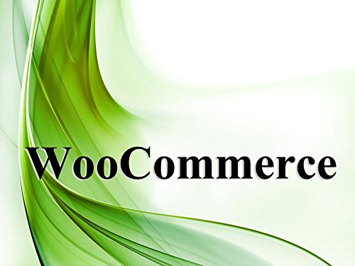 Preisvergleich Produktbild WooCommerce Webshop - Ihr OnlineShop installiert + Domain + Webhosting