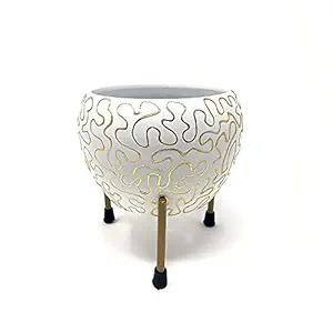 Samaaya ? Designer Indoor Plant Pots with Stand - Decorative Pots for Indoor Plants Rust Free Metal Plant Pots for Living Room, Balcony and Garden White Gold