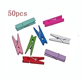  Mini Wooden Pegs - Multi Coloured 100pk