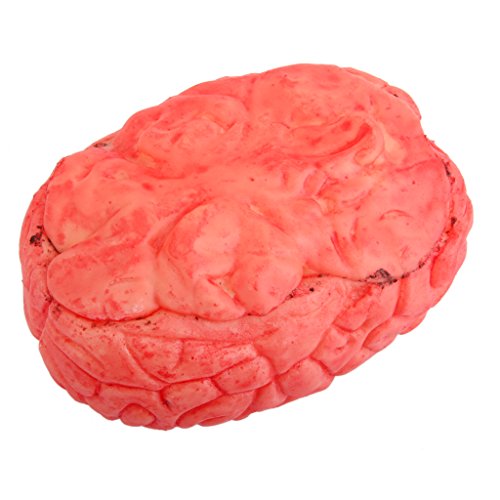 sharprepublic Casa Embrujada Asustadiza órgano Humano órgano Cuerpo Parte Halloween Horror Prop -Red