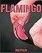 Produktbild Flamingo: Children Book of Fun Facts & Amazing Photos on Animals in Nature - A Wonderful Flamingo Book for Kids aged 3-7