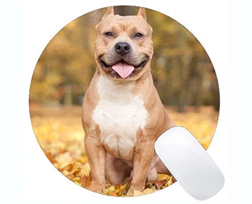 Preisvergleich Produktbild Yanteng fertigte runde Mausunterlage, Jagdhundetier Pitbull Hund Rutschfeste personalisierte runde Mausunterlage an